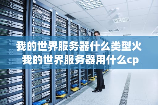 我的世界服务器什么类型火 我的世界服务器用什么cpu好