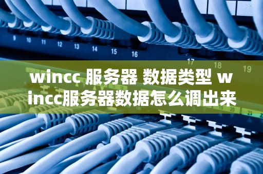 wincc 服务器 数据类型 wincc服务器数据怎么调出来的