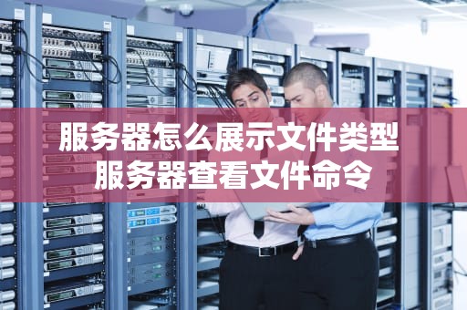 服务器怎么展示文件类型 服务器查看文件命令