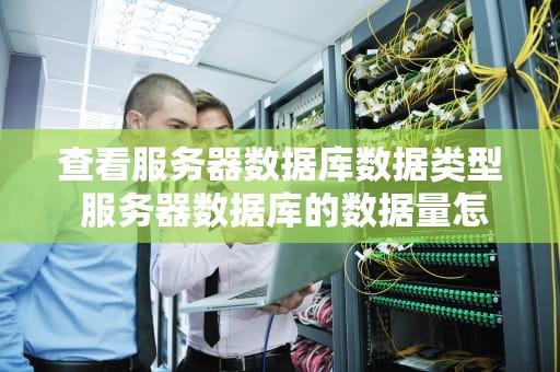 查看服务器数据库数据类型 服务器数据库的数据量怎么查询