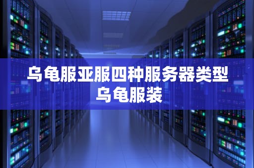 乌龟服亚服四种服务器类型 乌龟服装
