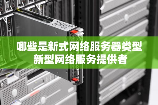 哪些是新式网络服务器类型 新型网络服务提供者