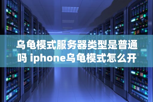 乌龟模式服务器类型是普通吗 iphone乌龟模式怎么开