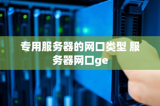 专用服务器的网口类型 服务器网口ge