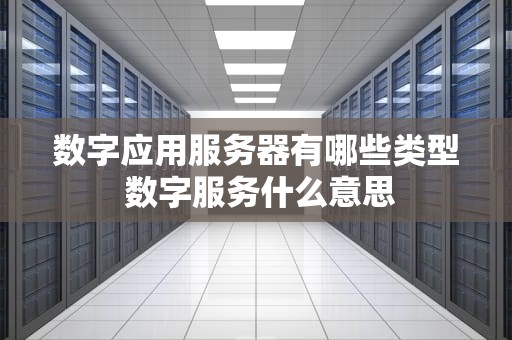 数字应用服务器有哪些类型 数字服务什么意思