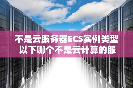 不是云服务器ECS实例类型 以下哪个不是云计算的服务模式