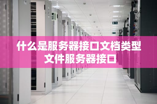 什么是服务器接口文档类型 文件服务器接口