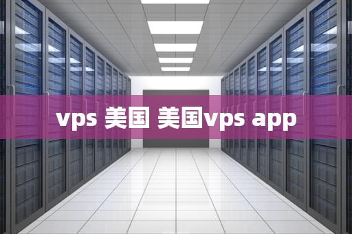 vps 美国 美国vps app