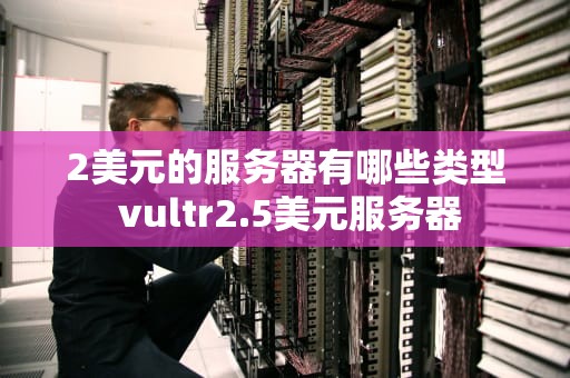 2美元的服务器有哪些类型 vultr2.5美元服务器