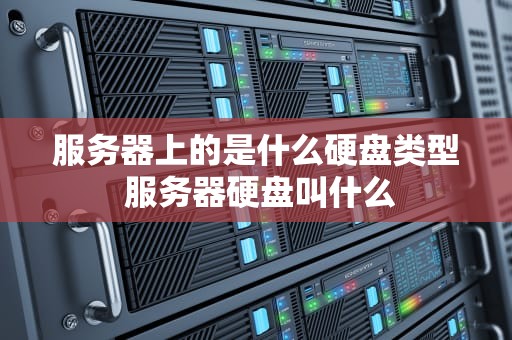 服务器上的是什么硬盘类型 服务器硬盘叫什么