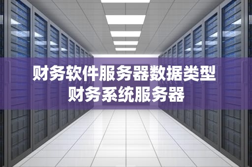 财务软件服务器数据类型 财务系统服务器
