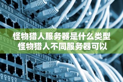 怪物猎人服务器是什么类型 怪物猎人不同服务器可以联机吗