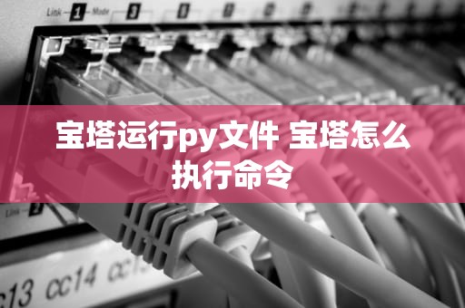 宝塔运行py文件 宝塔怎么执行命令