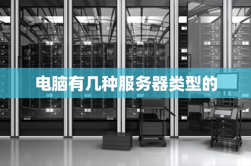电脑有几种服务器类型的