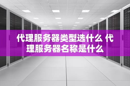 代理服务器类型选什么 代理服务器名称是什么