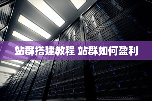站群搭建教程 站群如何盈利