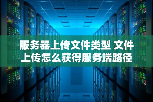 服务器上传文件类型 文件上传怎么获得服务端路径
