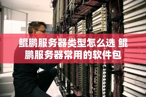 鲲鹏服务器类型怎么选 鲲鹏服务器常用的软件包