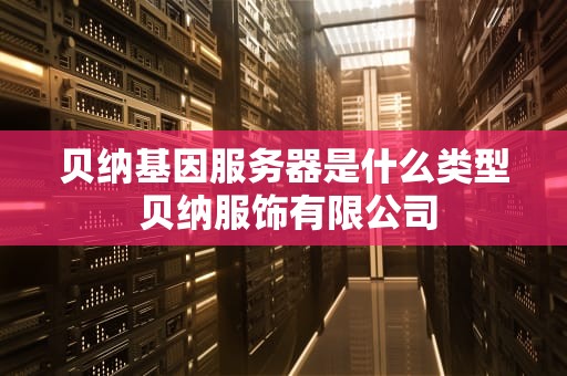 贝纳基因服务器是什么类型 贝纳服饰有限公司