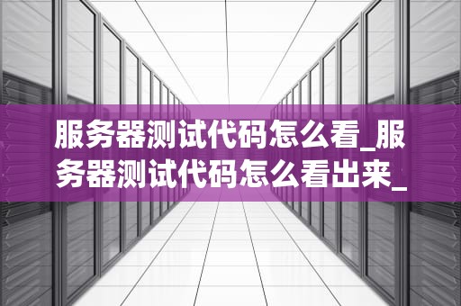 服务器测试代码怎么看_服务器测试代码怎么看出来_服务器测试代码的解读与实践