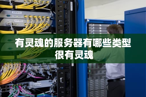 有灵魂的服务器有哪些类型 很有灵魂