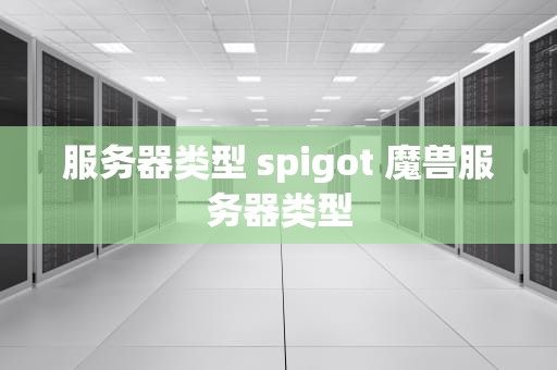 服务器类型 spigot 魔兽服务器类型