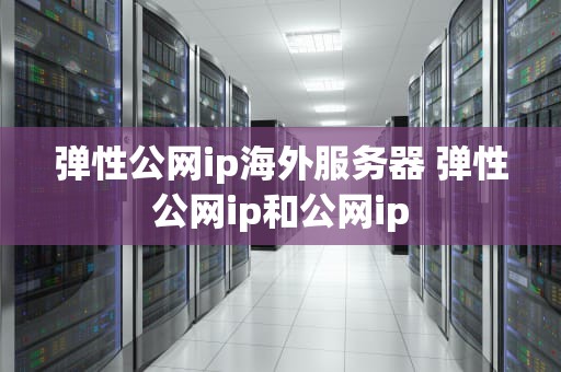 弹性公网ip海外服务器 弹性公网ip和公网ip
