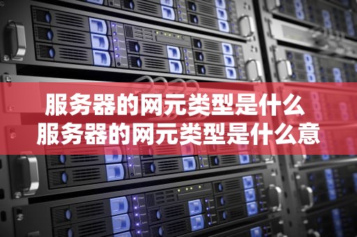 服务器的网元类型是什么 服务器的网元类型是什么意思