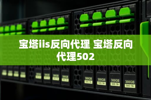 宝塔iis反向代理 宝塔反向代理502