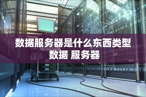 数据服务器是什么东西类型 数据 服务器
