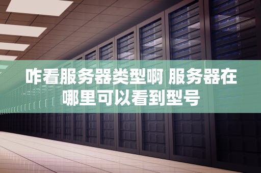 咋看服务器类型啊 服务器在哪里可以看到型号