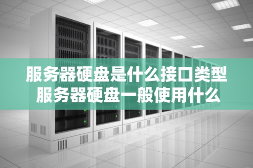 服务器硬盘是什么接口类型 服务器硬盘一般使用什么接口