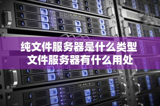 纯文件服务器是什么类型 文件服务器有什么用处