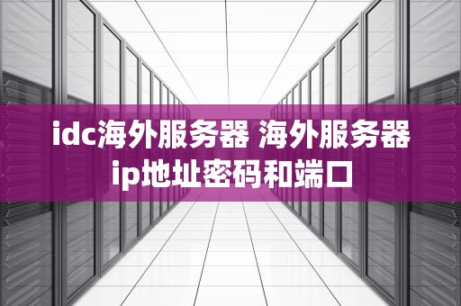 idc海外服务器 海外服务器ip地址密码和端口
