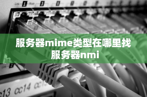 服务器mime类型在哪里找 服务器nmi