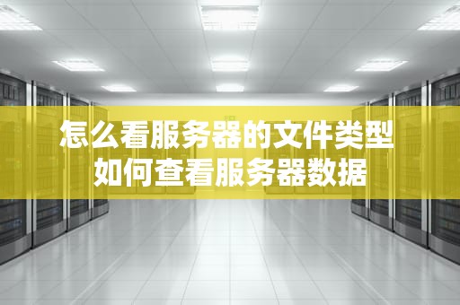 怎么看服务器的文件类型 如何查看服务器数据