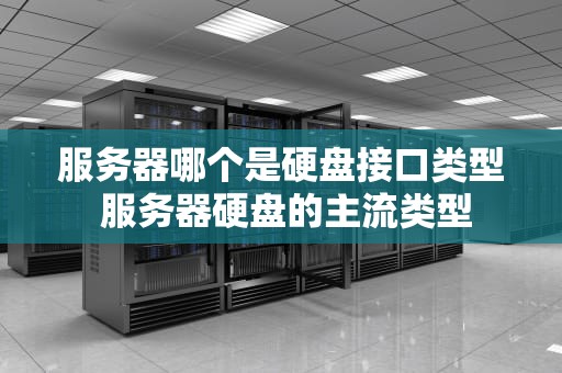 服务器哪个是硬盘接口类型 服务器硬盘的主流类型