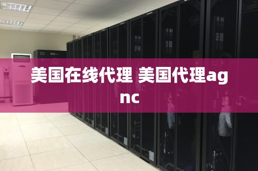 美国在线代理 美国代理agnc