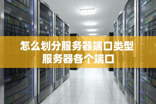 怎么划分服务器端口类型 服务器各个端口