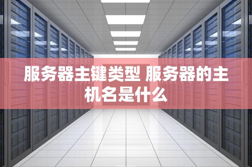服务器主键类型 服务器的主机名是什么