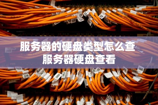 服务器的硬盘类型怎么查 服务器硬盘查看