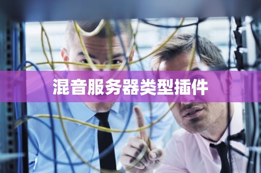 混音服务器类型插件