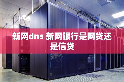 新网dns 新网银行是网贷还是信贷