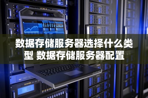 数据存储服务器选择什么类型 数据存储服务器配置