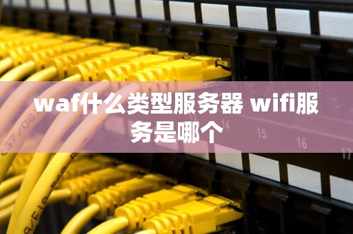 waf什么类型服务器 wifi服务是哪个
