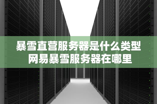 暴雪直营服务器是什么类型 网易暴雪服务器在哪里