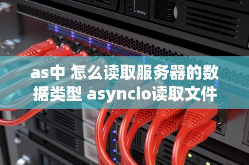as中 怎么读取服务器的数据类型 asyncio读取文件