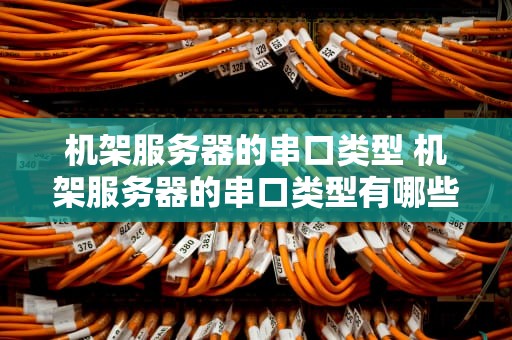 机架服务器的串口类型 机架服务器的串口类型有哪些