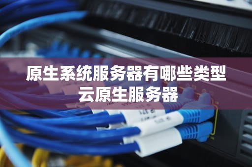 原生系统服务器有哪些类型 云原生服务器