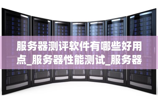 服务器测评软件有哪些好用点_服务器性能测试_服务器测评软件的深度分析与应用